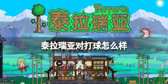 泰拉瑞亚对打球怎么样 泰拉瑞亚对打球图鉴介绍
