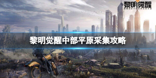 黎明觉醒中部平原资源有哪些 黎明觉醒中部平原采集攻略