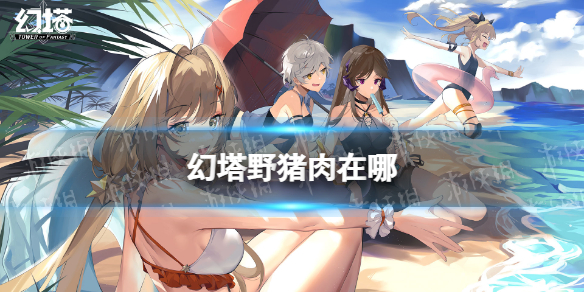 幻塔野猪肉在哪 幻塔野猪肉位置分布