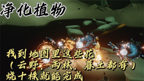 《光遇》2021年12月31日每日任务完成流程