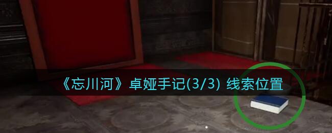 《孙美琪疑案：忘川河》四级线索——卓娅手记(3/3)