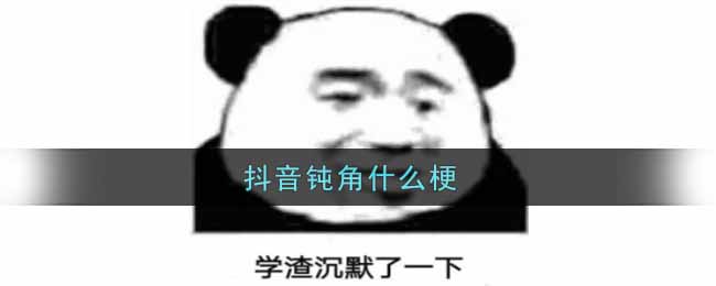 抖音钝角什么梗