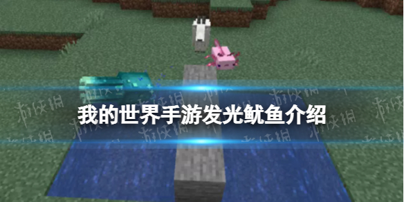 我的世界发光鱿鱼是什么 我的世界手游新生物发光鱿鱼介绍