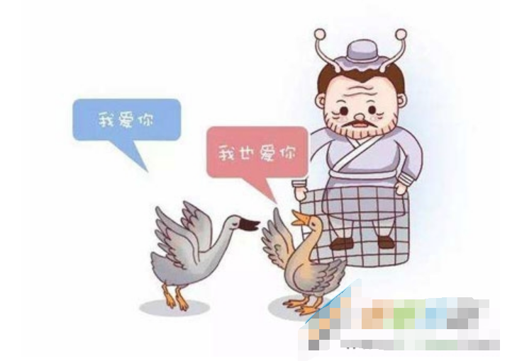一雁为定是什么梗