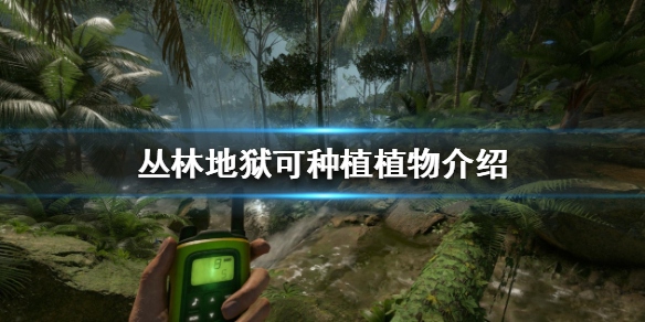 《丛林地狱》种植系统是什么？可种植植物介绍