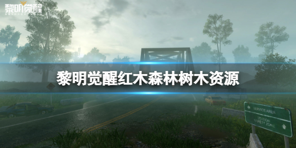 黎明觉醒红木森林树木资源 黎明觉醒木材资源获取点介绍