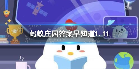 购买儿童票时必须使用儿童本人的身份证吗 蚂蚁庄园答案1.11