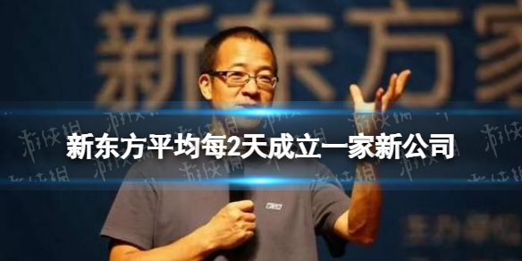 新东方平均每2天成立一家新公司 俞敏洪最新回应