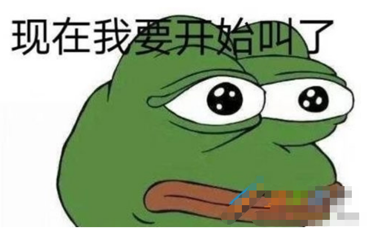 寡寡乐是什么梗