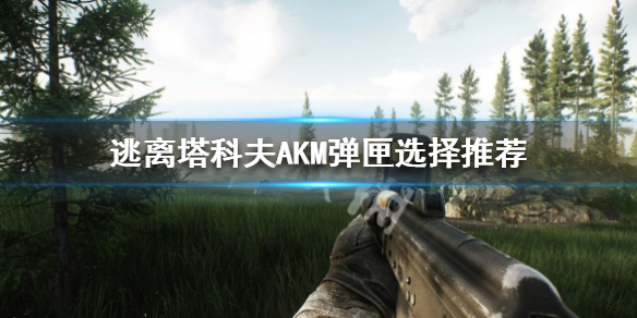 《逃离塔科夫》装备如何选择？AKM弹匣选择推荐