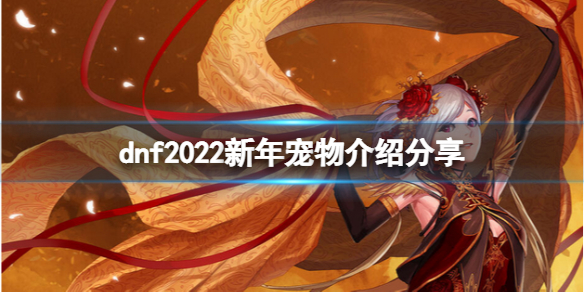 《dnf》2022新年宠物厉害吗？2022新年宠物介绍分享