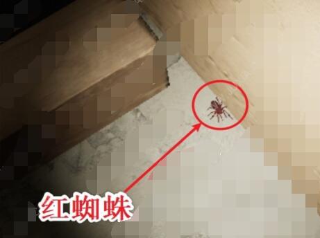 《孙美琪疑案：英杰》三级线索——红蜘蛛
