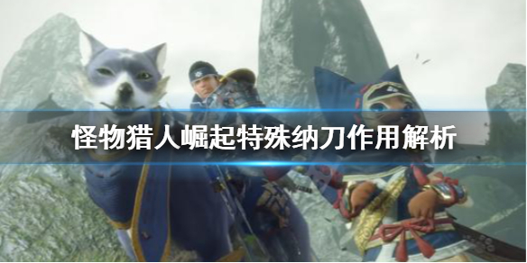 《怪物猎人崛起》特殊纳刀有什么用？特殊纳刀作用解析