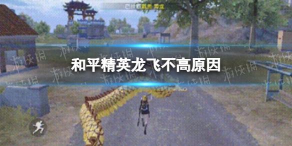 和平精英龙怎么飞不高了 和平精英龙飞不高原因