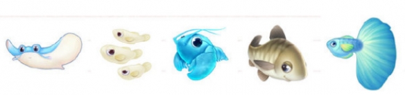 《摩尔庄园手游》新增鱼种菜谱一览