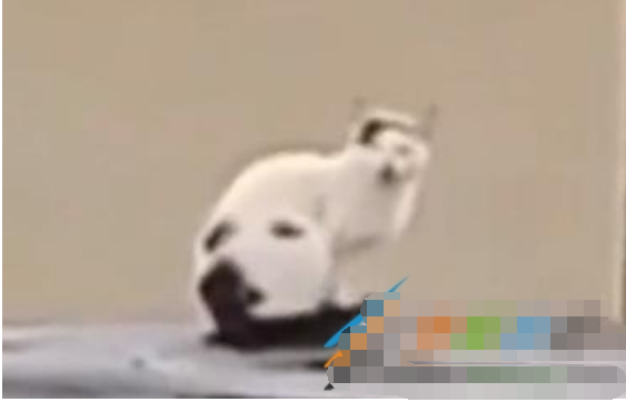 QQ截图20220117105200.png