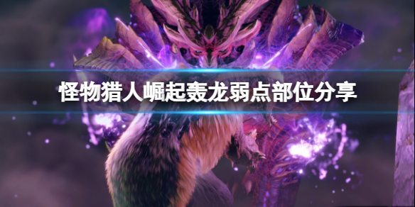 《怪物猎人崛起》轰龙肉质怎么样？轰龙弱点部位分享