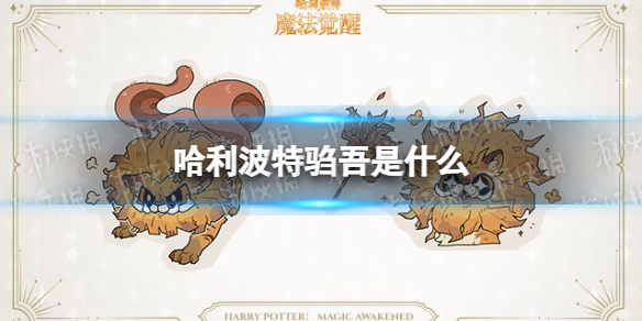 哈利波特驺吾是什么 哈利波特驺吾挑战介绍