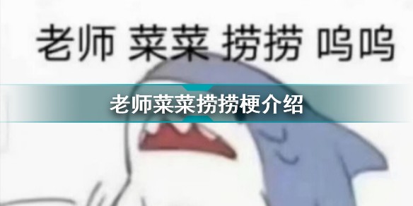 老师菜菜捞捞是什么梗