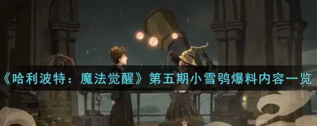《哈利波特：魔法觉醒》第五期小雪鸮爆料内容一览