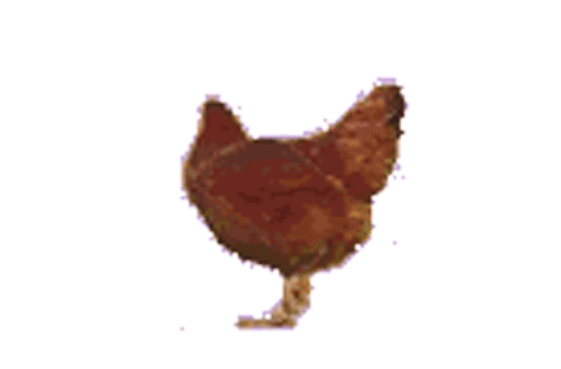 QQ截图20220119114358.png
