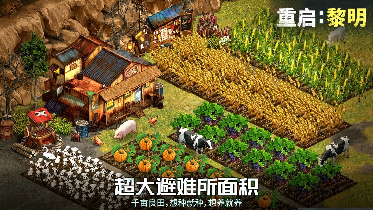 重启：黎明
