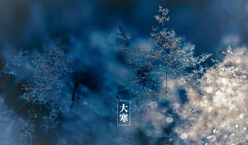 蚂蚁新村1月20日：一年中最后一个节气是？