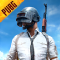 绝地求生pubg(国际服)正式安卓正版手游