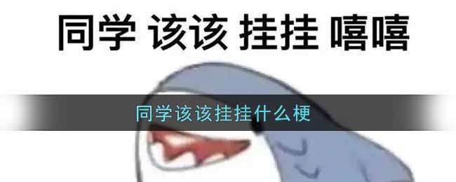 同学该该挂挂什么梗