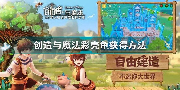 创造与魔法彩壳龟怎么获得