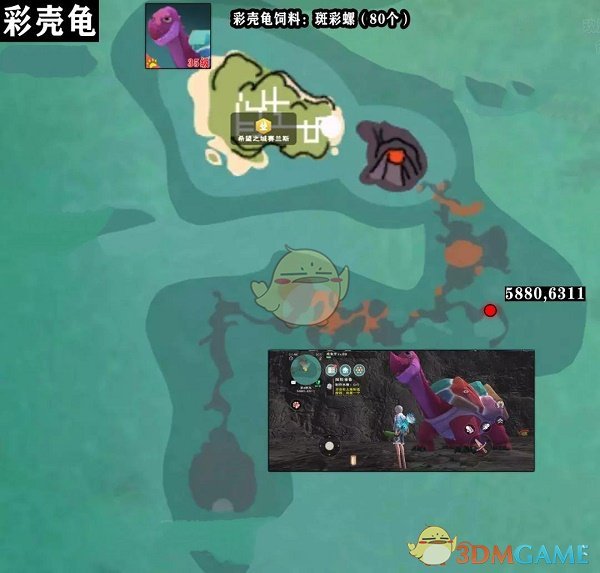 《创造与魔法》彩壳龟位置图刷新时间