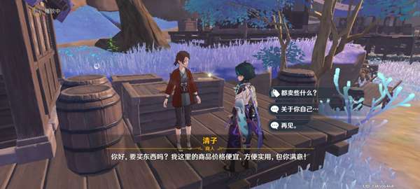 《原神》稻妻商店售卖物品汇总