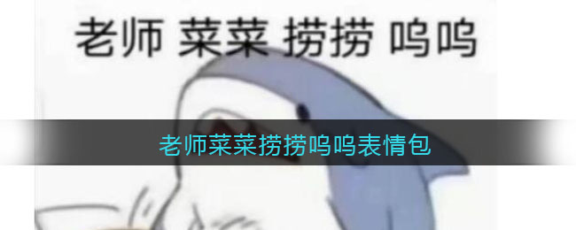 老师菜菜捞捞呜呜表情包