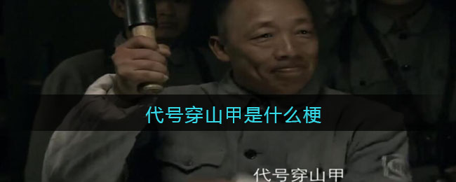 代号穿山甲是什么梗