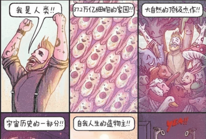 弔图是什么梗