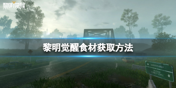 黎明觉醒食材获取方法 黎明觉醒食材怎么获得