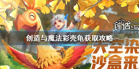 创造与魔法彩壳龟怎么获取 创造与魔法彩壳龟获取攻略