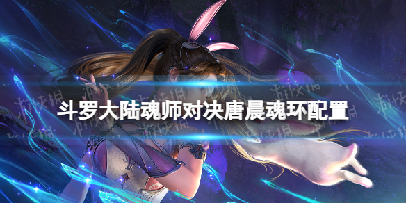 斗罗大陆魂师对决唐晨魂环配置 斗罗大陆魂师对决唐晨魂环搭配