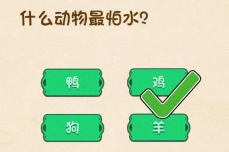 全民烧脑3第146关攻略