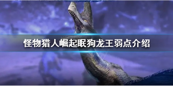 《怪物猎人崛起》眠狗龙王的弱点在哪？眠狗龙王弱点介绍