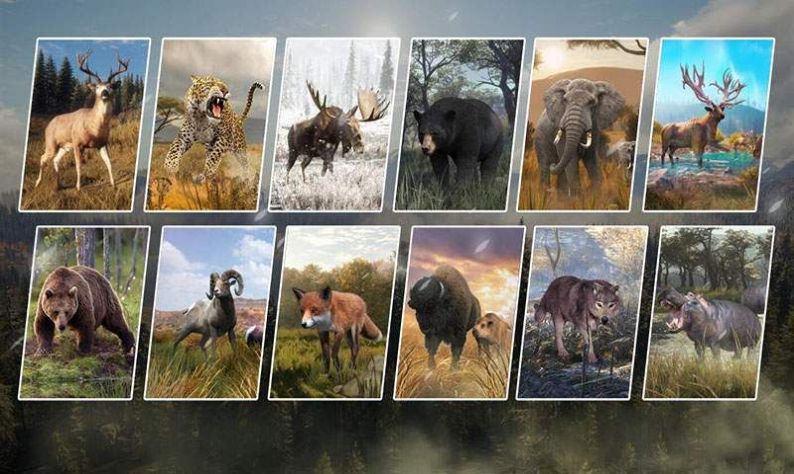 荒野猎鹿游戏最新版