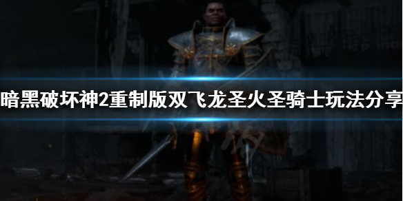 《暗黑破坏神2重制版》新版本圣骑士怎么玩？双飞龙圣火圣骑士玩法分享