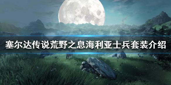 《塞尔达传说荒野之息》哪个套装防御最高？海利亚士兵套装介绍