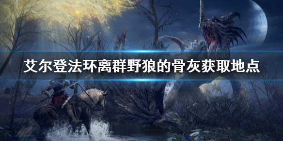 《艾尔登法环》离群野狼的骨灰去哪找？离群野狼的骨灰获取地点