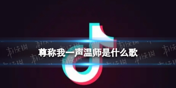 尊称我一声温师是什么歌 你曾仰慕的身姿从相伴到相知歌词