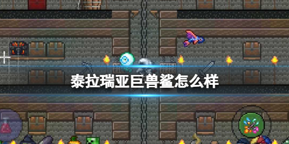 泰拉瑞亚巨兽鲨怎么样 泰拉瑞亚巨兽鲨图鉴介绍