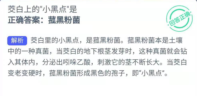 《支付宝》蚂蚁新村2022年1月30日答案介绍