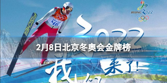 北京冬奥会金牌榜最新 2月8日北京冬奥会金牌榜