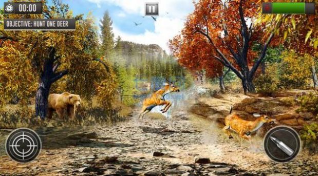 鹿狩猎3D游戏正式最新版（Deer Hunting）