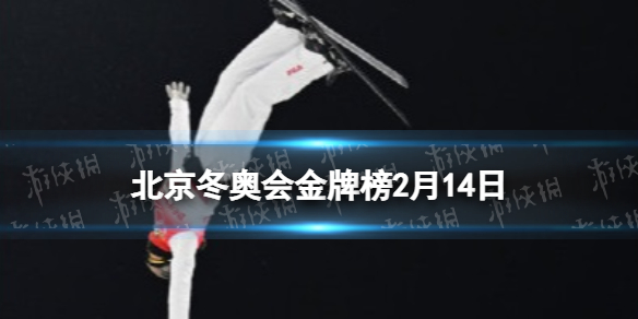 北京冬奥会2月14日金牌榜最新